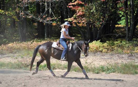 22556109_10212918135441240_926362394_o